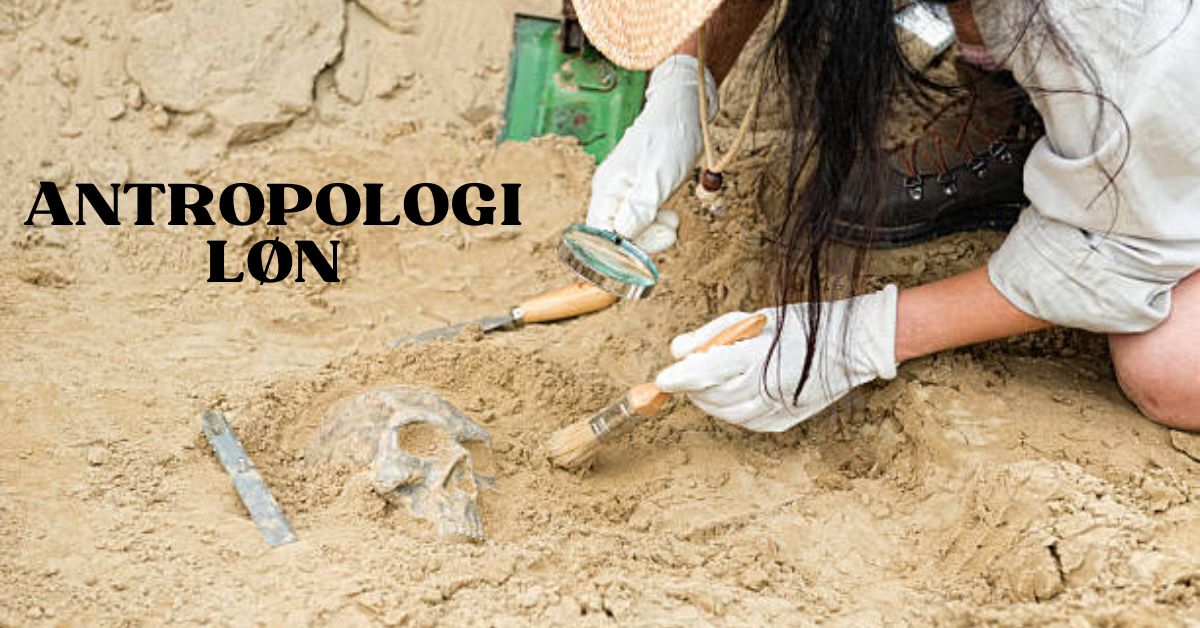 Antropolog Løn & Formue 1 Antropologi Løn