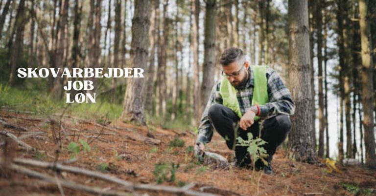 Skovarbejder Job Løn