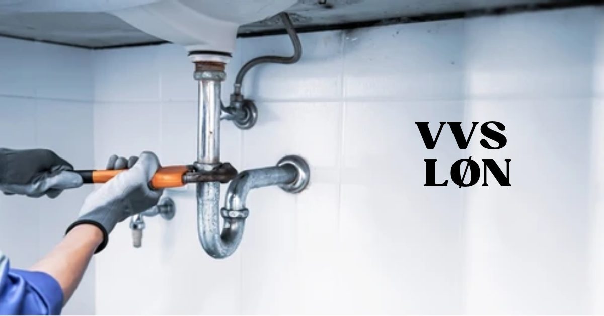 Vvs Løn & Formue 1 Vvs Løn