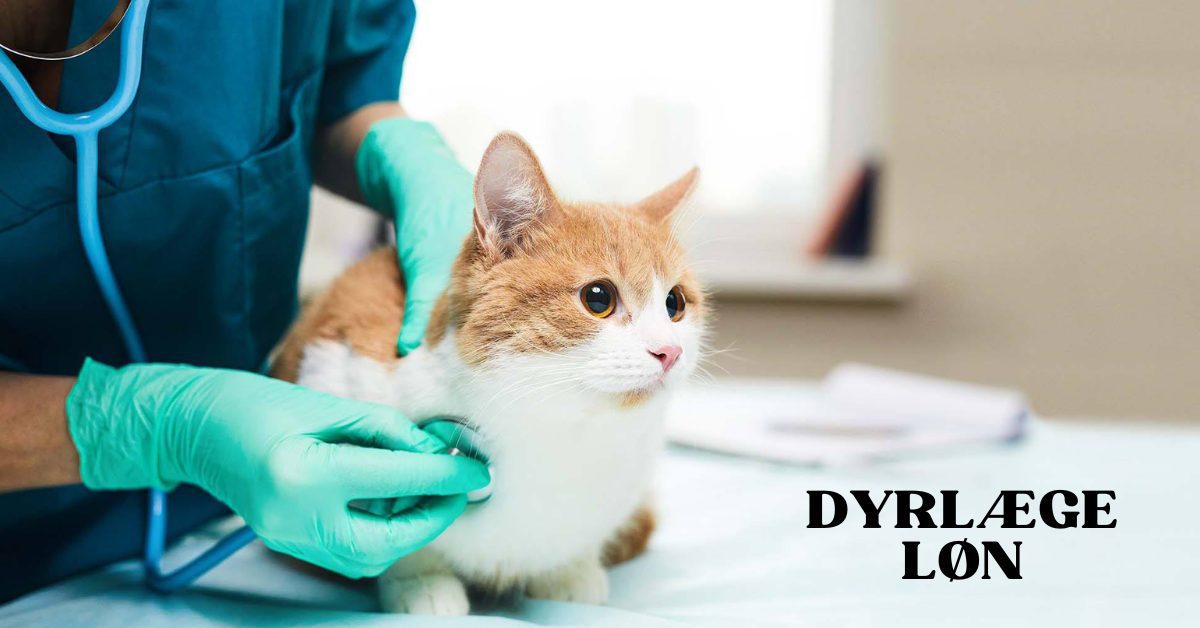 Dyrlæge Løn