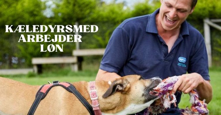 Kæledyrsmedarbejder Løn