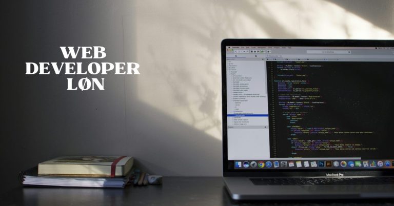 Web Developer Løn & Formue 4 Web Developer Løn